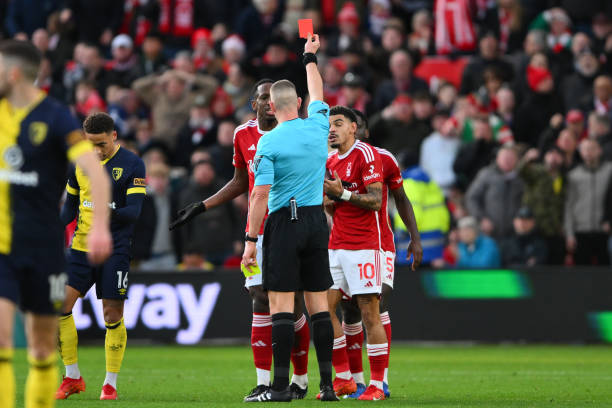 真相扑朔迷 真相扑朔迷