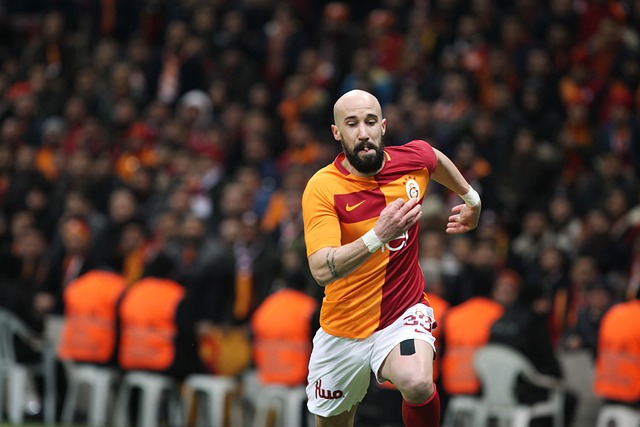 稳定球队士 稳定球队士